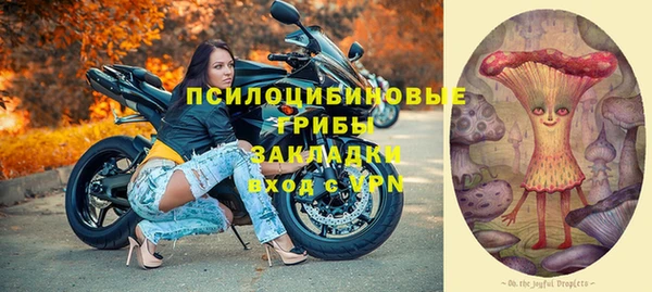 стаф Сосновка