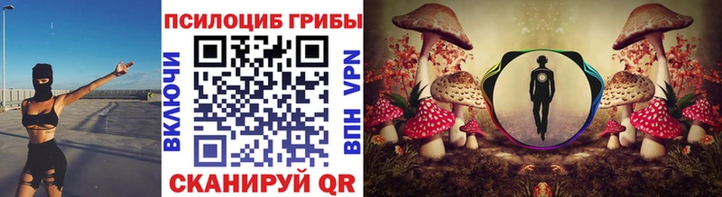 Псилоцибиновые грибы Cubensis  KRAKEN ТОР  Ростов 